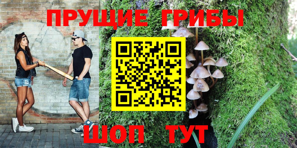 цена   Вход с VPN  Черкесск  Псилоцибиновые грибы Magic Shrooms 